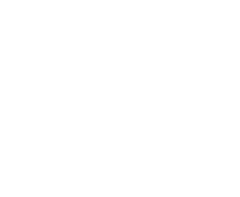 South Africa  Alton - Richards Bay Coal Sector Northern Cape Iron ore Sector  info@vfmgroupsa.com